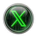 X ICONE 2