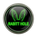 icone_rabbitt-removebg-preview